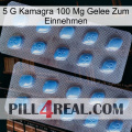 5Gm Kamagra 100Mg Oral Jelly viagra4